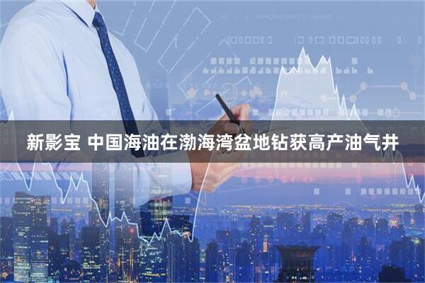 新影宝 中国海油在渤海湾盆地钻获高产油气井